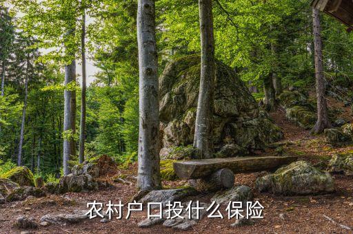農(nóng)村買的保險是什么保險，農(nóng)民需要買什么保險