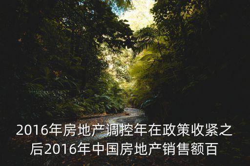 2016房市下一步還能出什么政策，2016年房地產(chǎn)調(diào)控年在政策收緊之后2016年中國房地產(chǎn)銷售額百