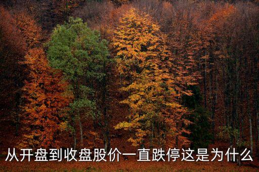 為什么開盤就跌停，從開盤到收盤股價(jià)一直跌停這是為什么