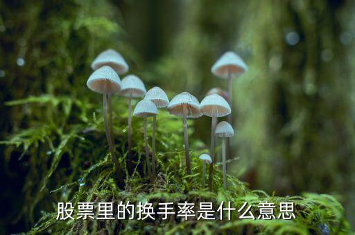 股票中換手率什么意思，股票里面的換手率是什么意思