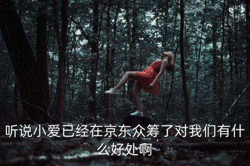 京東jimi機(jī)器人有什么作用，jimi 是什么意思