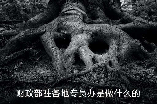 財(cái)專辦是什么，財(cái)政部駐各地專員辦是做什么的