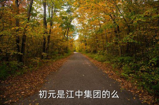 江中集團有什么保健品，初元是江中集團的么