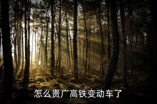 高鐵什么時(shí)候變動(dòng)車(chē)，怎么貴廣高鐵變動(dòng)車(chē)了