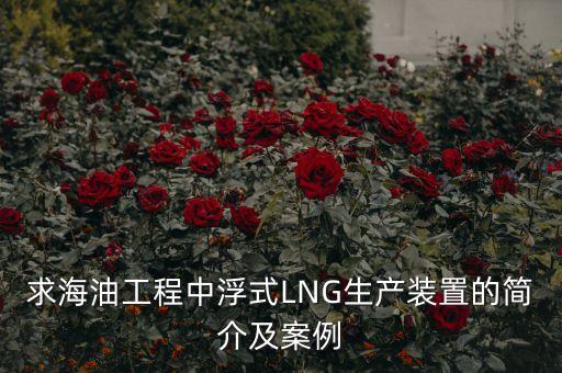 什么是浮式lng項目，什么是浮式LNG