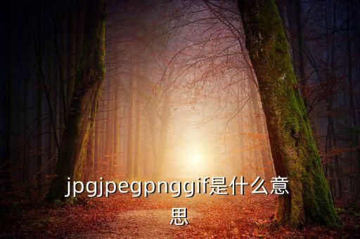 什么是代價比率，JPG文件會有病毒嗎