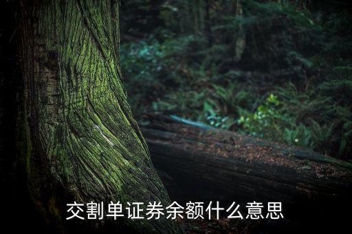 交割單中的剩余金額是什么，中原證券交割單里的本次金額什么意思