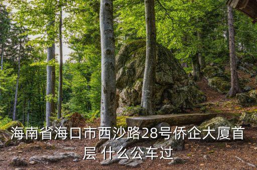 海南公務(wù)車什么號段，誰知道海南41 11月20日開的什么號碼