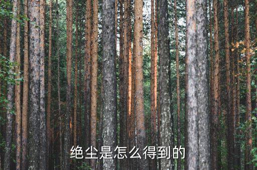 為什么絕塵貴，怎么弄到絕塵