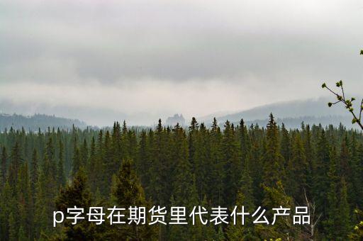 pp是什么期貨，聚丙烯期貨是什么