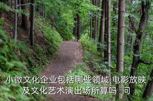 小微文化企業(yè)具體指什么，小微文化企業(yè)包括哪些領(lǐng)域 電影放映及文化藝術(shù)演出場(chǎng)所算嗎  問