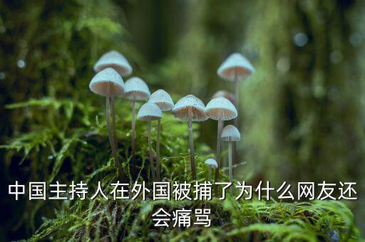 國網(wǎng)魏慶海出什么事了，中國主持人在外國被捕了為什么網(wǎng)友還會(huì)痛罵