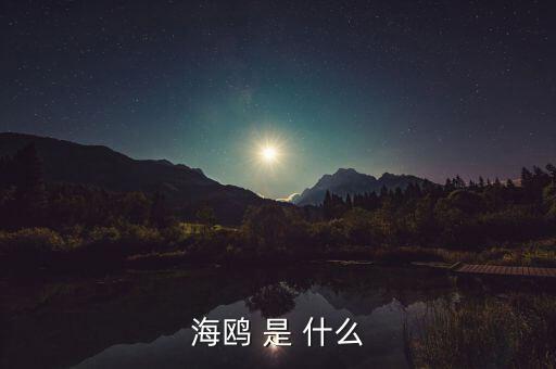 海鷗和石墨是什么關(guān)系，MAURICE BLUM品牌和海鷗有什么關(guān)系