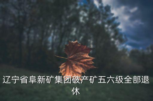 阜礦集團什么時候破產(chǎn)，遼寧省阜新礦集團破產(chǎn)礦五六級全部退休