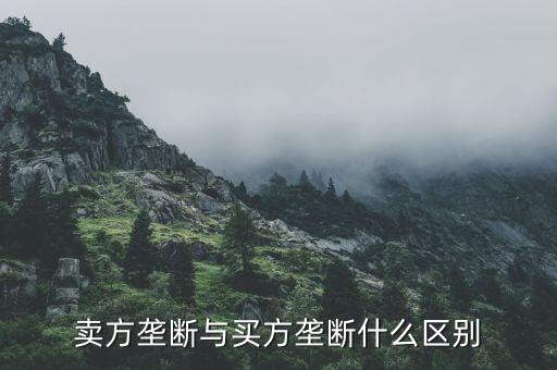 賣(mài)方壟斷與買(mǎi)方壟斷什么區(qū)別