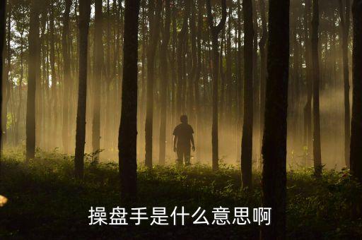 股票里操盤手聯(lián)盟是什么意思，有哪位高人可以給我詳細(xì)解釋下操盤手是什么意思