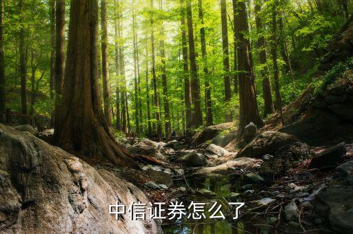 郭志榮為什么離開中信，中信證券怎么了