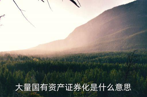 什么是國資證券化率，資產(chǎn)證券化率的公式