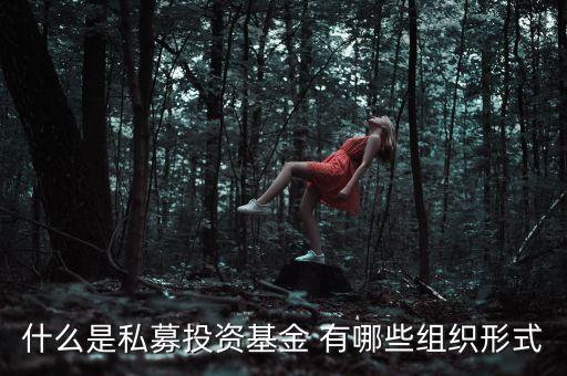 什么是募投資金，什么是私募投資基金 有哪些組織形式