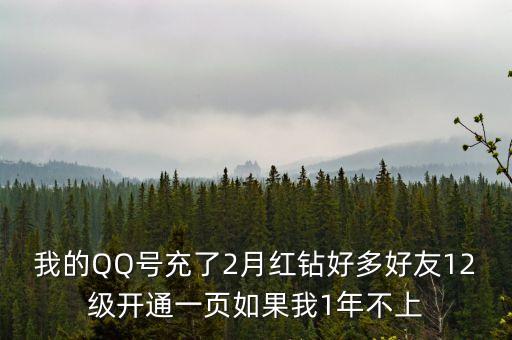 我的QQ號(hào)充了2月紅鉆好多好友12級(jí)開通一頁(yè)如果我1年不上