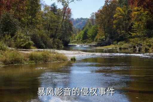 暴風科技什么期間被查的，暴風科技什么時侯開始停牌的
