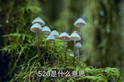 什么是1浪5，江恩數(shù)浪法則如何劃分五浪