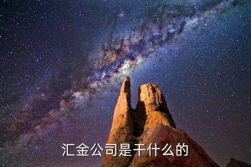 深圳惠程為什么匯金進(jìn)駐，匯金公司是怎么回事