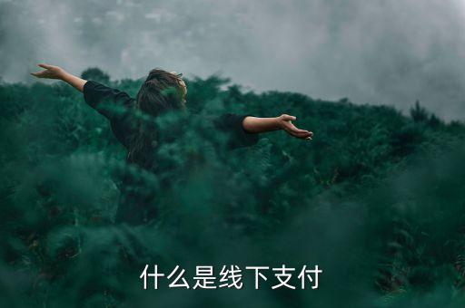 什么是線上線下支付，什么是線下支付