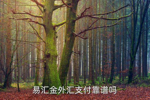 易匯金出是什么，易匯金外匯支付靠譜嗎
