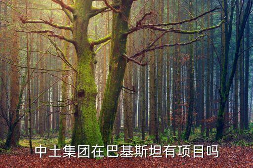中土公司在吉布提什么工程，中建港務(wù)建設(shè)有限公司是不是接了吉布提的工程