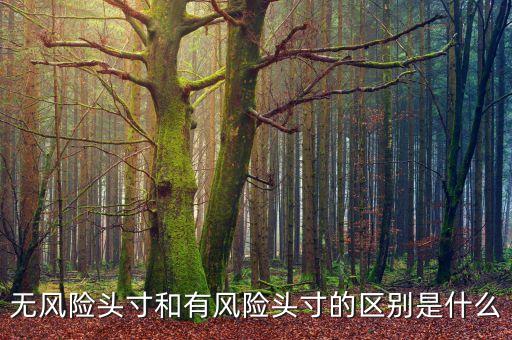市場(chǎng)風(fēng)險(xiǎn)頭寸是什么，什么是可抵消市場(chǎng)風(fēng)險(xiǎn)頭寸