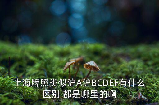 上海市政府牌照是滬什么，上海的車(chē)牌是滬還是浦