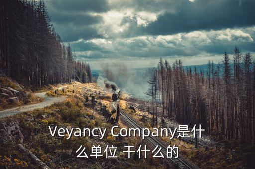 時代沃頓科技有限公司是什么單位，Veyancy Company是什么單位 干什么的