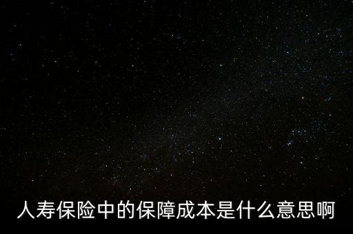 什么是保險(xiǎn)公司的保證成本，保險(xiǎn)中的保障成本是什么意思
