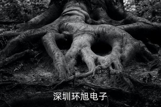 環(huán)旭電子經(jīng)營(yíng)什么，上海環(huán)旭電子有限公司在什么地方
