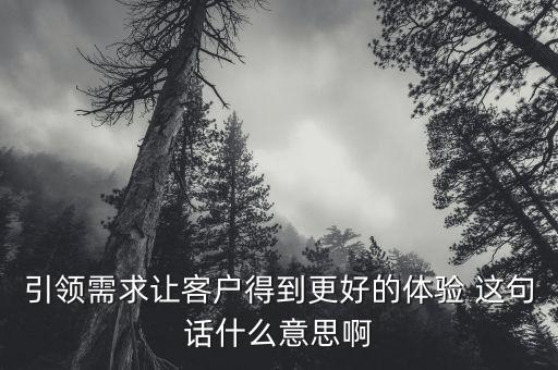 什么是引領(lǐng)需求，引領(lǐng)需求讓客戶得到更好的體驗(yàn) 這句話什么意思啊