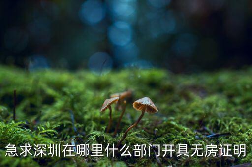 坪山國(guó)土局在什么地方，深圳哪座山比較有趣