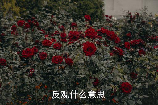 反觀當(dāng)下是什么意思，求英語(yǔ)大神翻譯反觀當(dāng)下