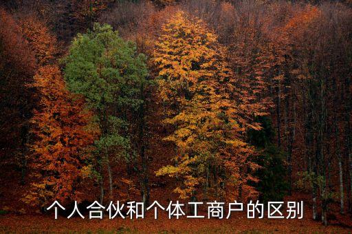 個人合伙領(lǐng)取什么經(jīng)營執(zhí)照，個人合伙辦理個體工商戶執(zhí)照