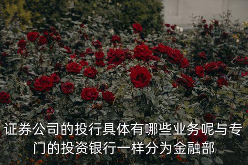 國內(nèi)券商投行部在做什么，國有四大行的投行部在做什么