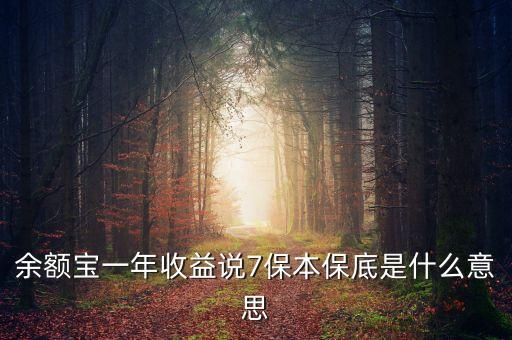 保底收益什么意思，保底收益猶豫期后可根據本金及保底收益作為還款來源 請問這