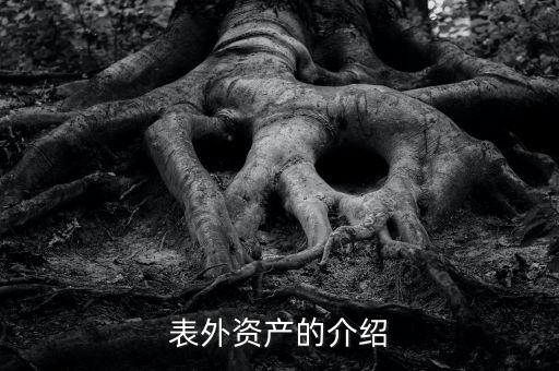 什么是表外資金，表外資產(chǎn)的介紹