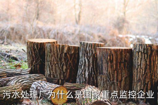 重點監(jiān)控企業(yè)為什么，稅務(wù)局來電要我們公處理重點監(jiān)控是什么意思