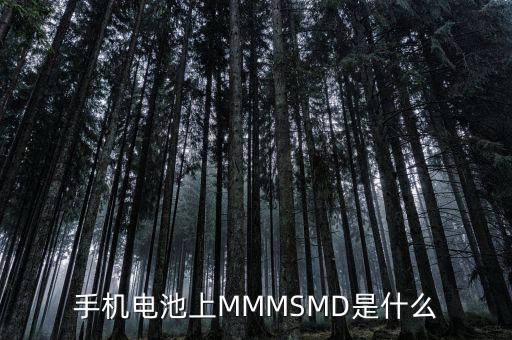 什么是電力儲能，手機(jī)電池上MMMSMD是什么
