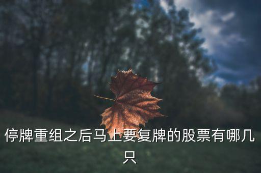 002306什么時候復(fù)牌，停牌重組之后馬上要復(fù)牌的股票有哪幾只