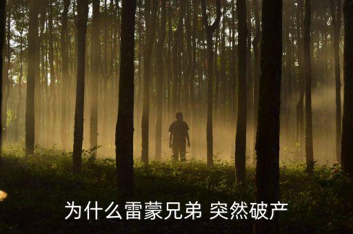 雷曼兄弟為什么破產(chǎn)，雷曼兄弟是因?yàn)槭裁炊飘a(chǎn)的