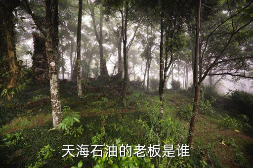 天海收購(gòu)英邁什么時(shí)間，信用卡能不能申請(qǐng)延遲2天?？?/></a></span><span id=