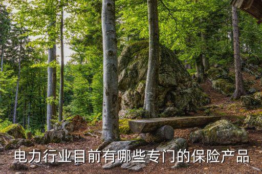 電力行業(yè)目前有哪些專(zhuān)門(mén)的保險(xiǎn)產(chǎn)品