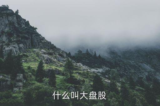 大盤(pán)股是什么意思，什么是大盤(pán)股
