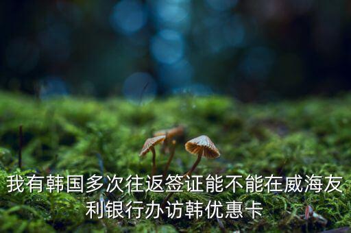 訪韓優(yōu)惠卡有什么作用，我有韓國多次往返簽證能不能在威海友利銀行辦訪韓優(yōu)惠卡